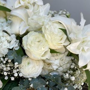 Meet your Posher, Diana